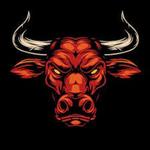 Bullhead Festival 2026