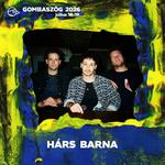 Hárs Barna zenekaros koncert