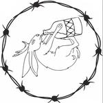 Chace Rains & Adam Faucett