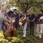 Bearfeet @ De Schaduw Ardooie