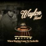 Owendale Music in the Park 