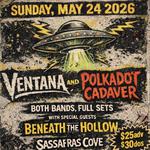 VentanA ~ Polkadot Cadaver