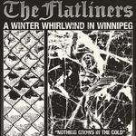 A Winter Whirldwind in Winnipeg