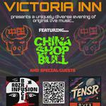 China Shop Bull + Tensr + More at the Vic