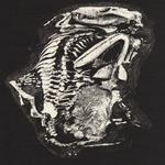 Agriculture @ Babys all right