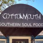 The Cadillac Cats / Cottonmouth Southern Soul Kitchen