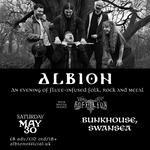 Albion at The Bunkhouse, Swansea