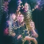 Salaliitto, Pasi Salmi