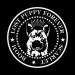 The Planetarium Presents