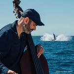 Garth Stevenson  music - storytelling - film