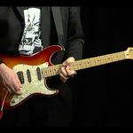 Bees Deluxe play the Gardner