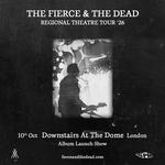  The Fierce & The Dead at Downstairs At The Dome - Album Release Show