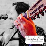Live Rumba Guitar with Vincent Zorn at Cunningham Creek Winery & Brewery