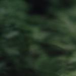 Party for the Planet Surrey Civic Plaza Surrey BC  2026