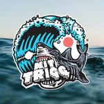 Maid of Stone Festival 2026