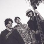 Reverie Brewing Co., CT