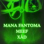 Mana Fantoma, Meef & XÅD @ Kalasataman vapaakaupunki