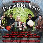 An Evening with Possibly Irish at The Domino Room