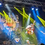 A Band Called Malice //CARDIFF // The Globe