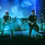 Between the Rats and Snakes