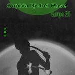 Sophia Djebel Rose & Gildaa Théâtre de Saint Herblain