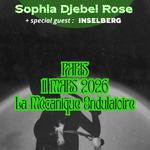 SOPHIA DJEBEL ROSE X INSELBERG