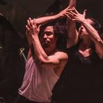 Dumbworld Opera - Where We Bury the Bones