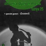 SOPHIA DJEBEL ROSE X SUNWELL