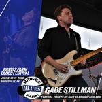 Briggs Farm Blues Festival