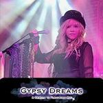 Fleetwood Mac Tribute - Gypsy Dreams - Winters Opera House