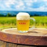 Mike Lucey at Aurora Brewing