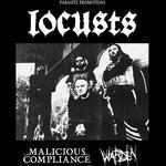 Locusts at the Burstin Hotel