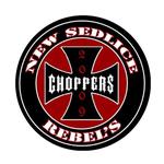 NS REBELS FEST NOVOSEDLICE