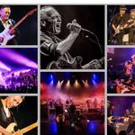 Blues Guitar Roadshow Adelaide Fringe Festival 