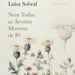 Festival Literário de Penacova