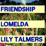 Friendship at Elsewhere 