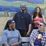 Black Cat Habitat Returns to John and Peters!