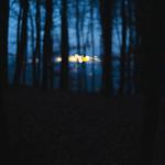 A night of shadows, texture, and spiritual sound.