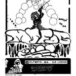  Mt Fog x Iroiro at Ilk Lodge