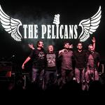 The Pelicans Live