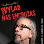 Skylab em Ribeirão Preto (SP)