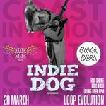 North Coast Invasion - Indie Dog live at Loop Evolution