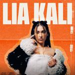 Festival Rocanrola 2026