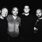 Bender I Yin-Yang Hooglede