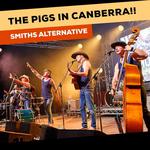 The Pigs in Canberra!