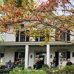 Vilai Harrington & Hamptones Return to OB