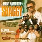 Shaggy Live