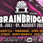 SKYFYRE @ BRAINBRIDGE FESTIVAL