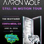 AARON WOLF - STILL: IN MOTION TOUR with CAPITAL DUB