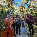 Wandering Hours @ Terrapin Grove